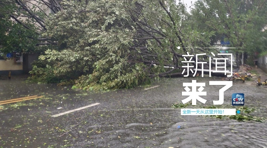 &ldquo;山竹&rdquo;怒過，高空塔吊你還好嗎？