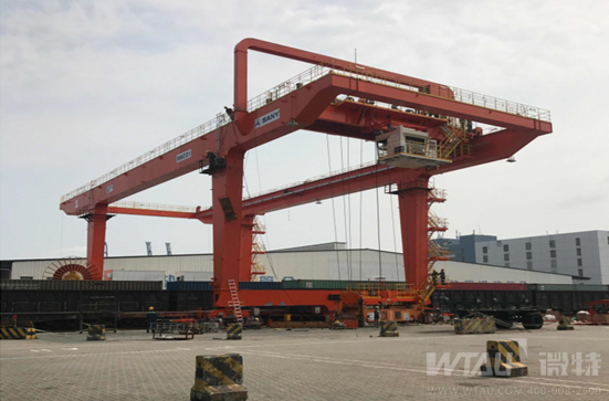 不負(fù)春光，微特人在行動(dòng)