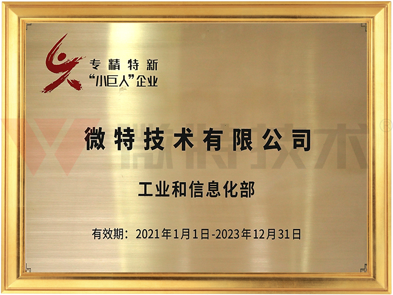 專精特新小巨人企業(yè)&mdash;微特